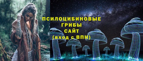 шишки Алексин