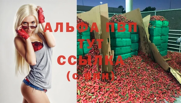 шишки Алексин