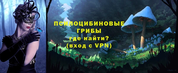 а пвп мука Алзамай