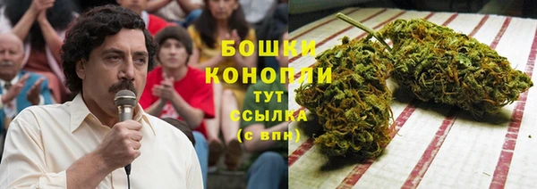 шишки Алексин