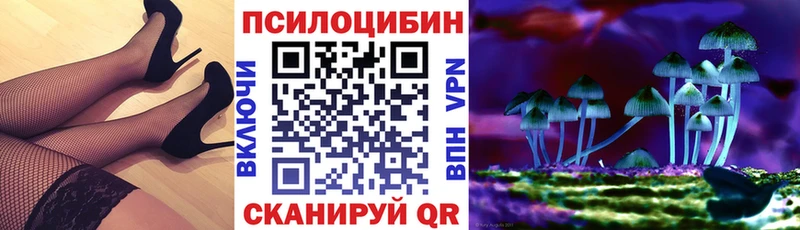 Галлюциногенные грибы мицелий  Новороссийск 